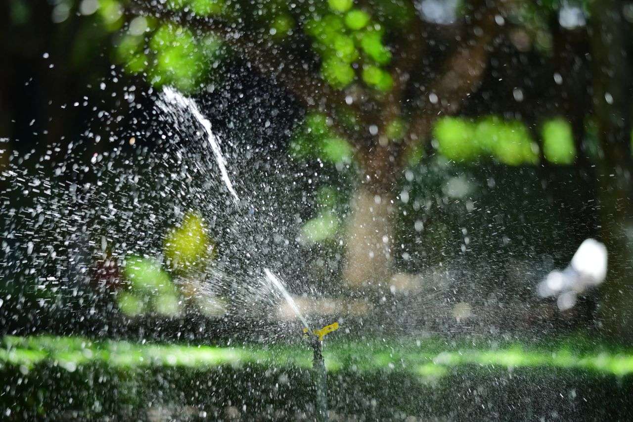 Close-up of a garden sprinkler watering a lush green lawn with sunlight creating sparkling water droplets.